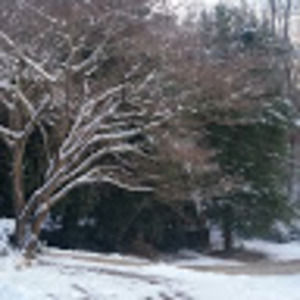 Meet your Posher, Pablo